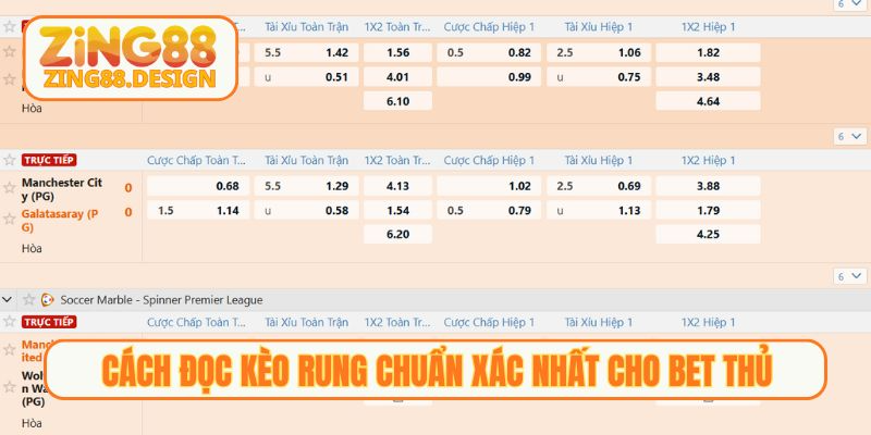 Cách đọc kèo rung chuẩn xác nhất cho bet thủ